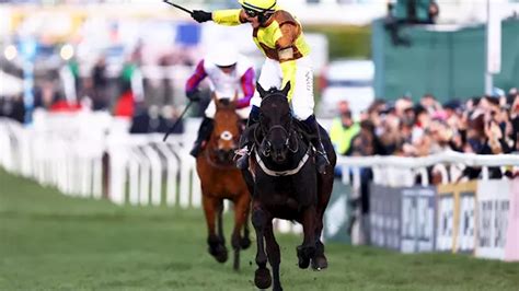cheltenham live results today.